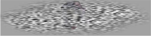 /uploadfile/2025/0228/20250228174802967.jpg