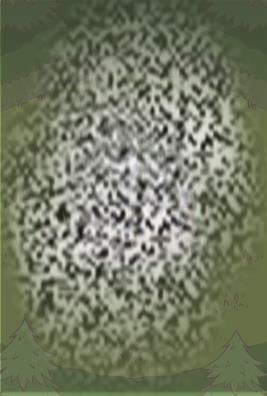 /uploadfile/2025/0302/20250302102926846.jpg