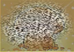 /uploadfile/2025/0502/20250502092519443.jpg
